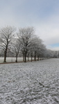 Snow on Victoria Park