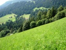 Alpbach