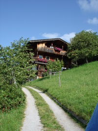 alpbach07