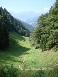 alpbach07