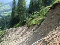 alpbach07