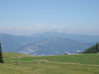 alpbach07