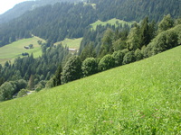 alpbach07