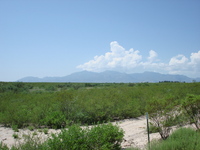 arizona_07