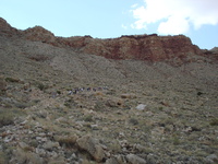 arizona_07