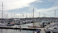 beer_torquay_13