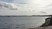 beer_torquay_13