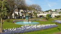 beer_torquay_13