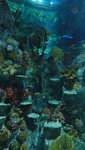 Bristol aquarium