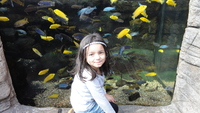 bristol_aquarium_14