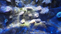 bristol_aquarium_14