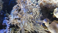 bristol_aquarium_14