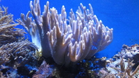 bristol_aquarium_14