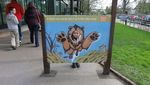 Millie at Bristol Zoo