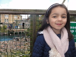 Millie at Bristol Zoo
