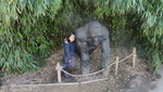 Millie at Bristol Zoo