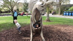 Millie at Bristol Zoo