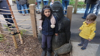 bristol_zoo_14