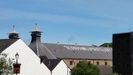 Bushmills distillery