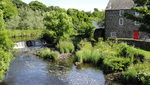 Bushmills distillery