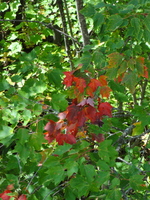 canada_17