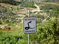 cape_town_post_obs_08