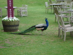 castle_howard