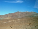 Olly observing in Chile