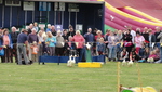 Country fair