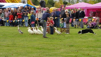 country_fair_11