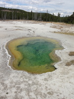 Yellowstone