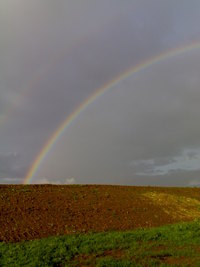 double_rainbow