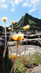 Giant's causeway