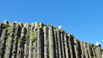 Giant's causeway