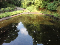 glengoyne_distillery