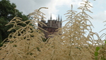 Goldney hall