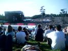 Greenday at the MK bowl.