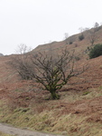 Hiking in the Lake District