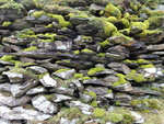 Hiking in the Lake District