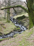 Hiking in the Lake District