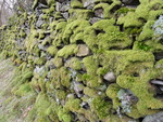 Hiking in the Lake District