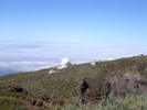 Observing at the NOT in La Palma