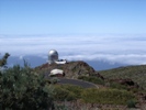 Observing at the NOT in La Palma