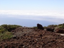Observing at the NOT in La Palma