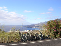 lapalma_06