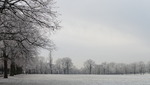 Snow on Victoria Park