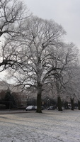 leicester_snow_10