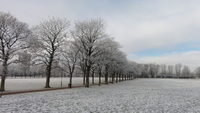 leicester_snow_10