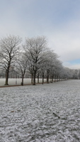 leicester_snow_10