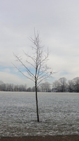 leicester_snow_10